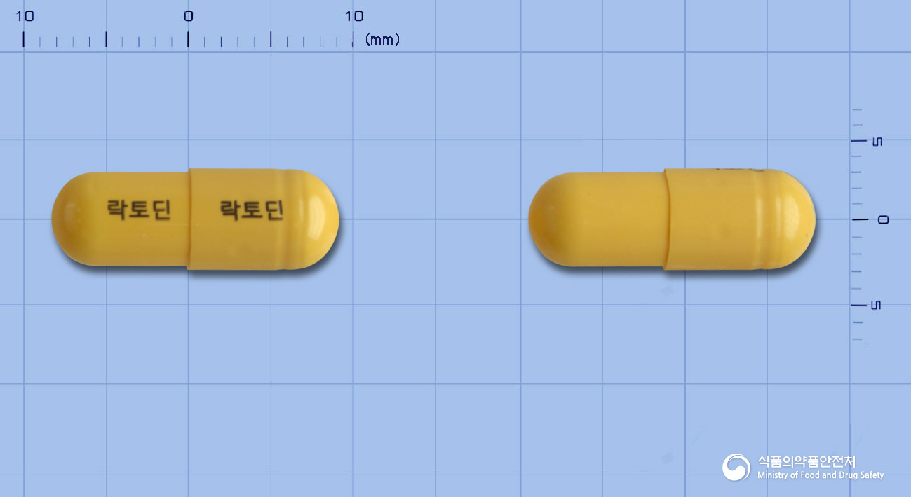 락토딘캡슐 낱알 사진