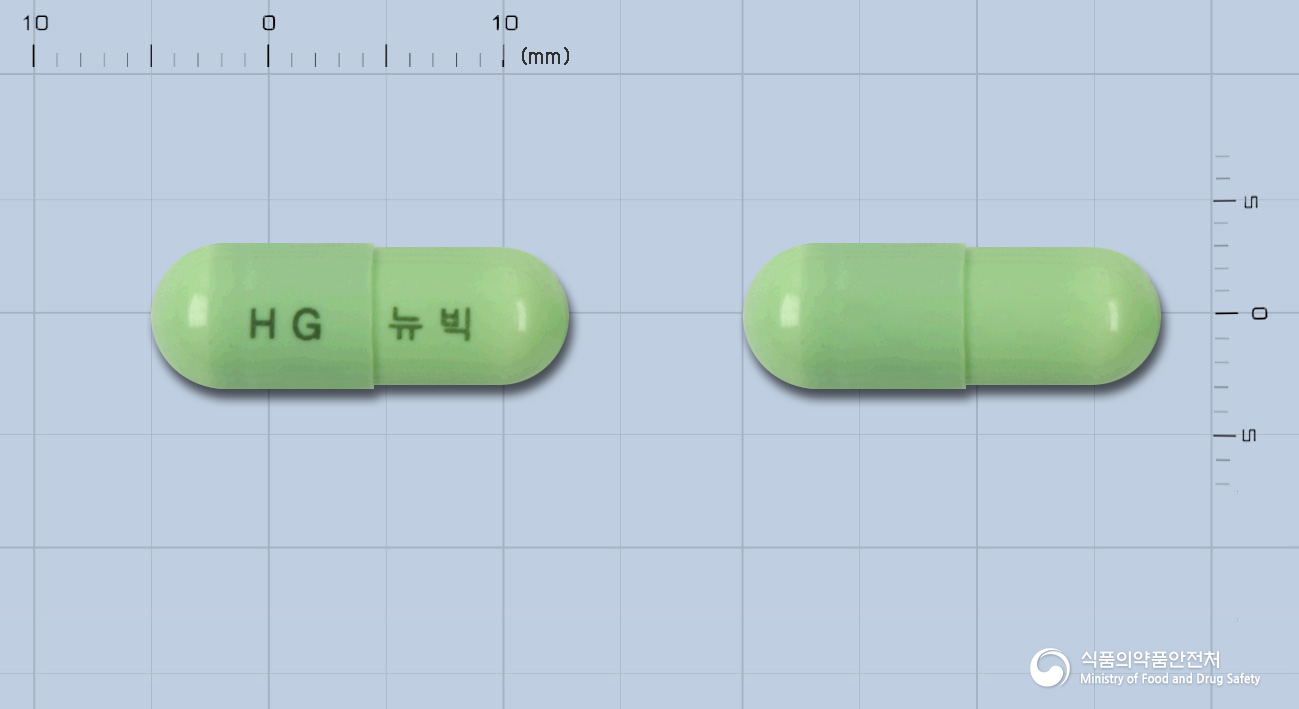 뉴빅캡슐(멜록시캄) 낱알 사진