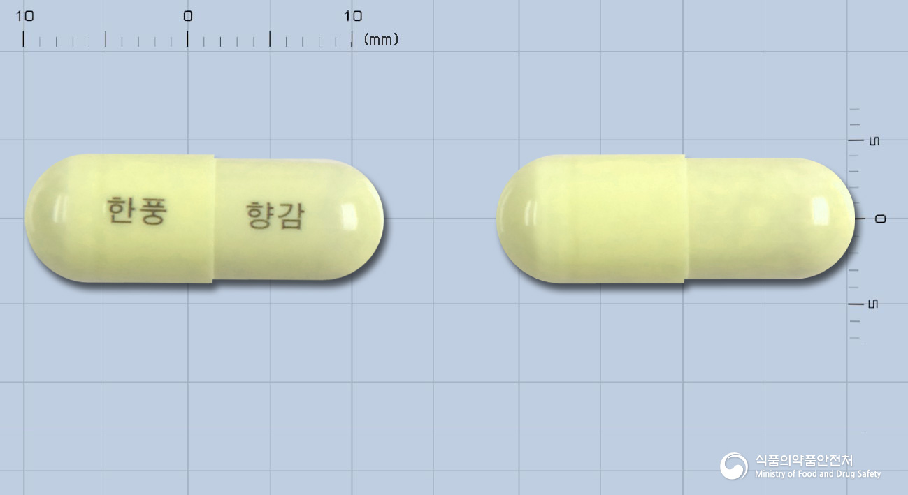 향감캡슐 낱알 사진