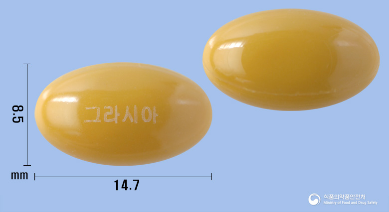 그라시아연질캡슐(콜린알포세레이트) 낱알 사진