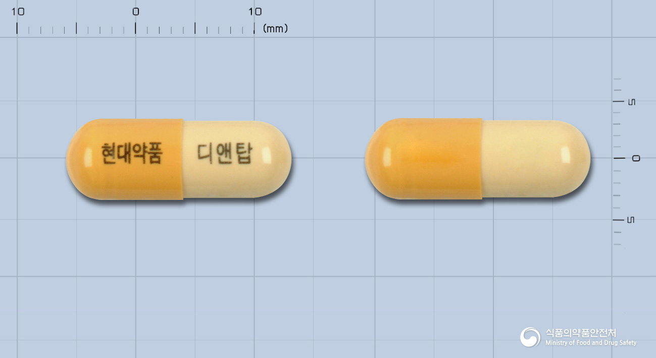 디앤탑캅셀 낱알 사진
