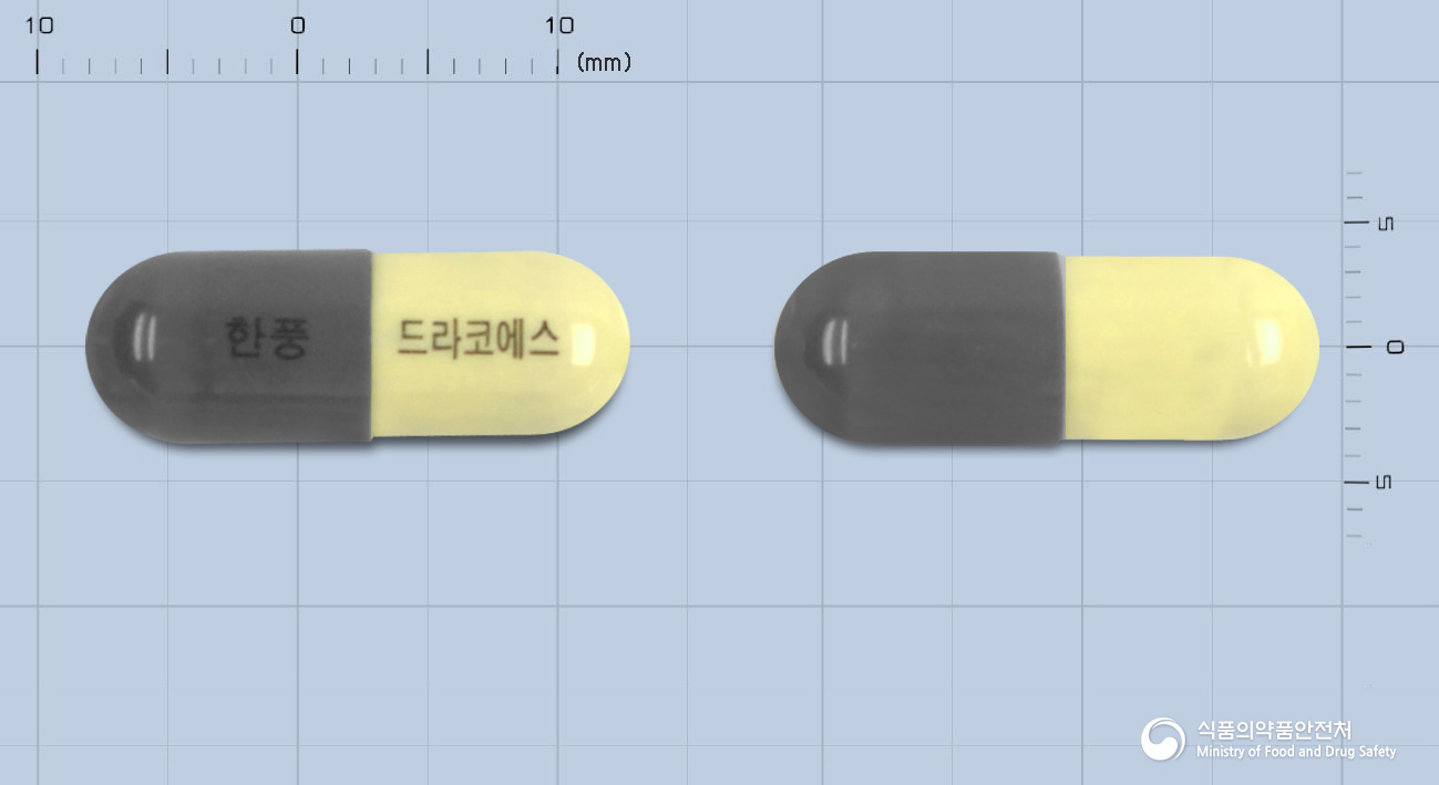 드라코에스캡슐 낱알 사진