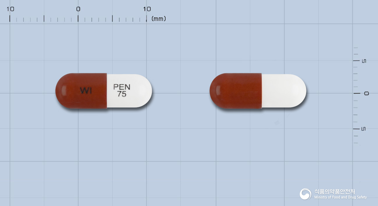프리렙톨캡슐75mg(프레가발린) 낱알 사진