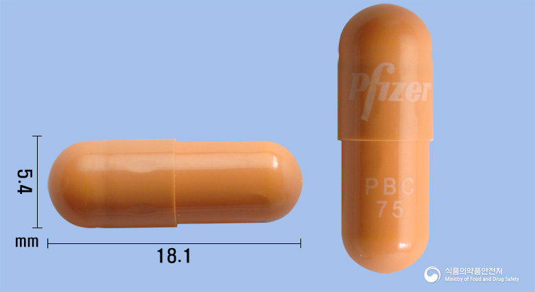 입랜스캡슐75mg(팔보시클립) 낱알 사진
