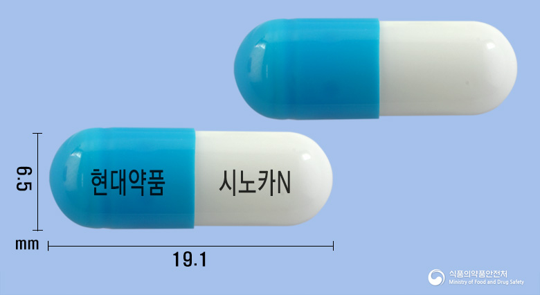 시노카엔캡슐 낱알 사진