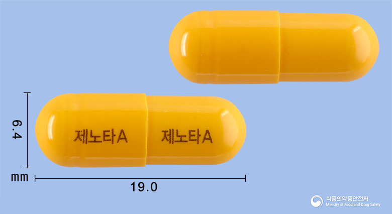 제노타에이캡슐 낱알 사진
