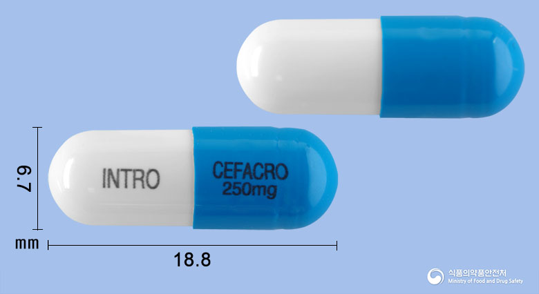 세파크로캡슐250mg(세파클러수화물) 낱알 사진