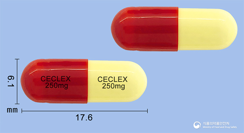 세클렉스캡슐250mg(세파클러수화물) 낱알 사진