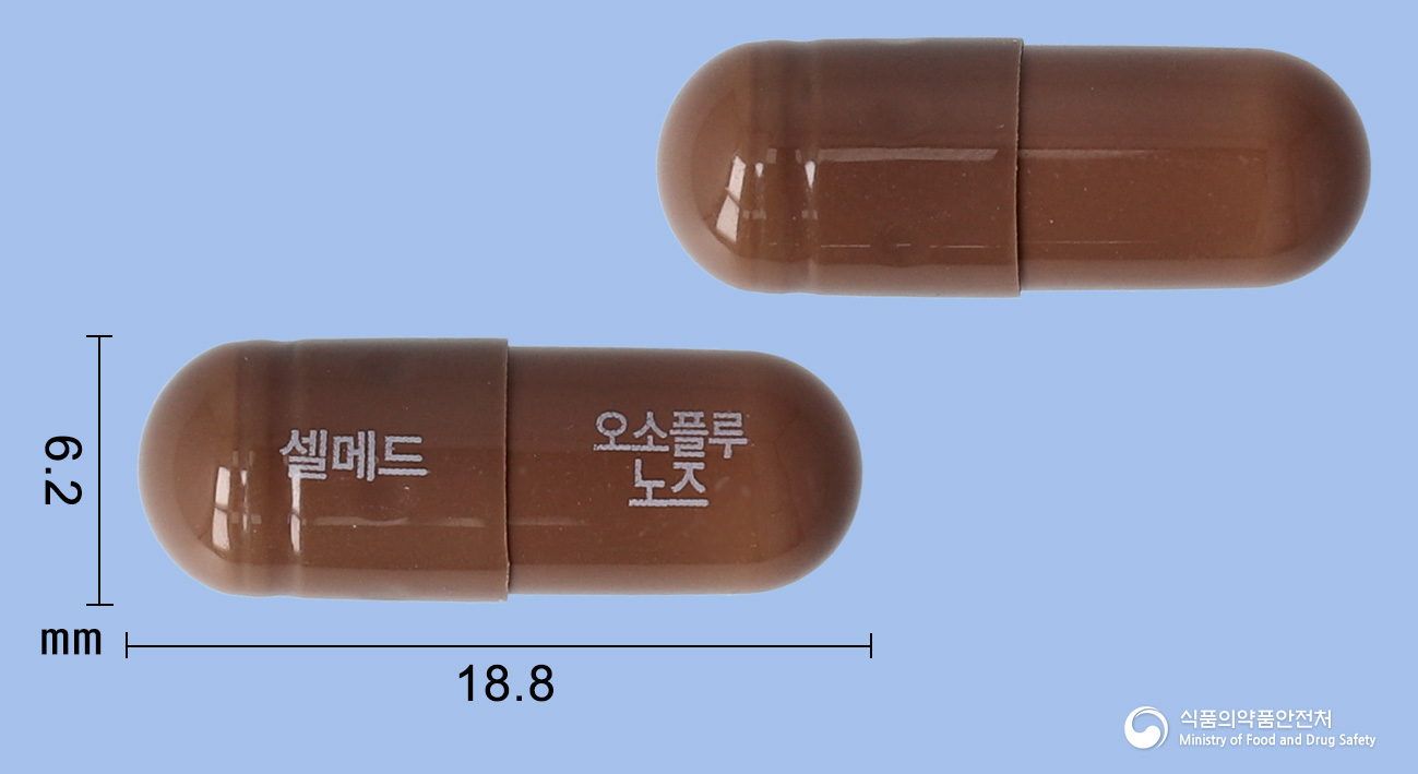 오소플루노즈캡슐 낱알 사진